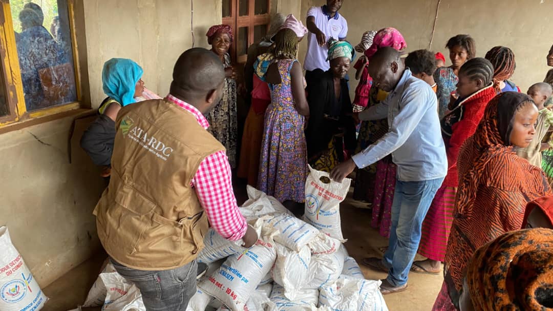 Lire la suite à propos de l’article Sud Kivu : IITA/ATA-RDC vient de distribuer de semences de haricot bio fortifié aux petits producteurs de Nyangezi