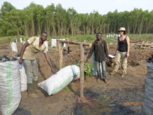 Lire la suite à propos de l’article IBI-Village, un modèle de développement durable menacé par l’insécurité et des complicités inquiétantes. Un projet écologique exemplaire en perdition.Tribune d&rsquo;un exploitant agricole frustré.