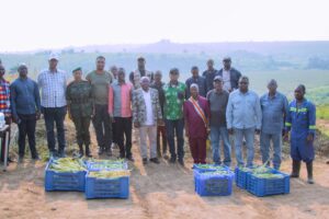Lire la suite à propos de l’article Kasangulu : Lancement de la pré-récolte de maïs à la ferme Kabanda Naweza, un plaidoyer pour l’agriculture nationale en RDC