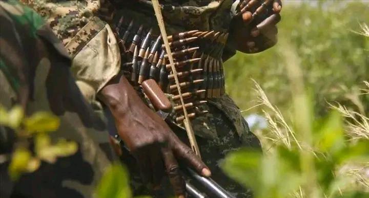 Mambasa : Plus de 122 civils tués en deux semaines dans une vague de violences attribuées aux ADF