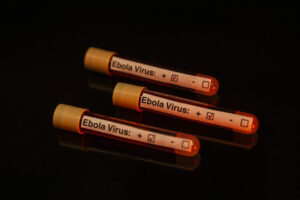 Nord-Kivu : 11 cas de la Maladie à virus Ebola dont 7 décès, l’alerte sanitaire se renforce
