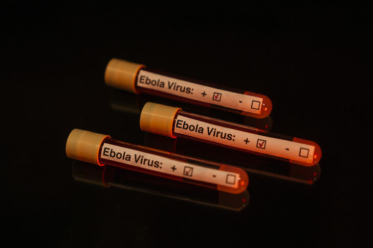 Nord-Kivu : 11 cas de la Maladie à virus Ebola dont 7 décès, l’alerte sanitaire se renforce
